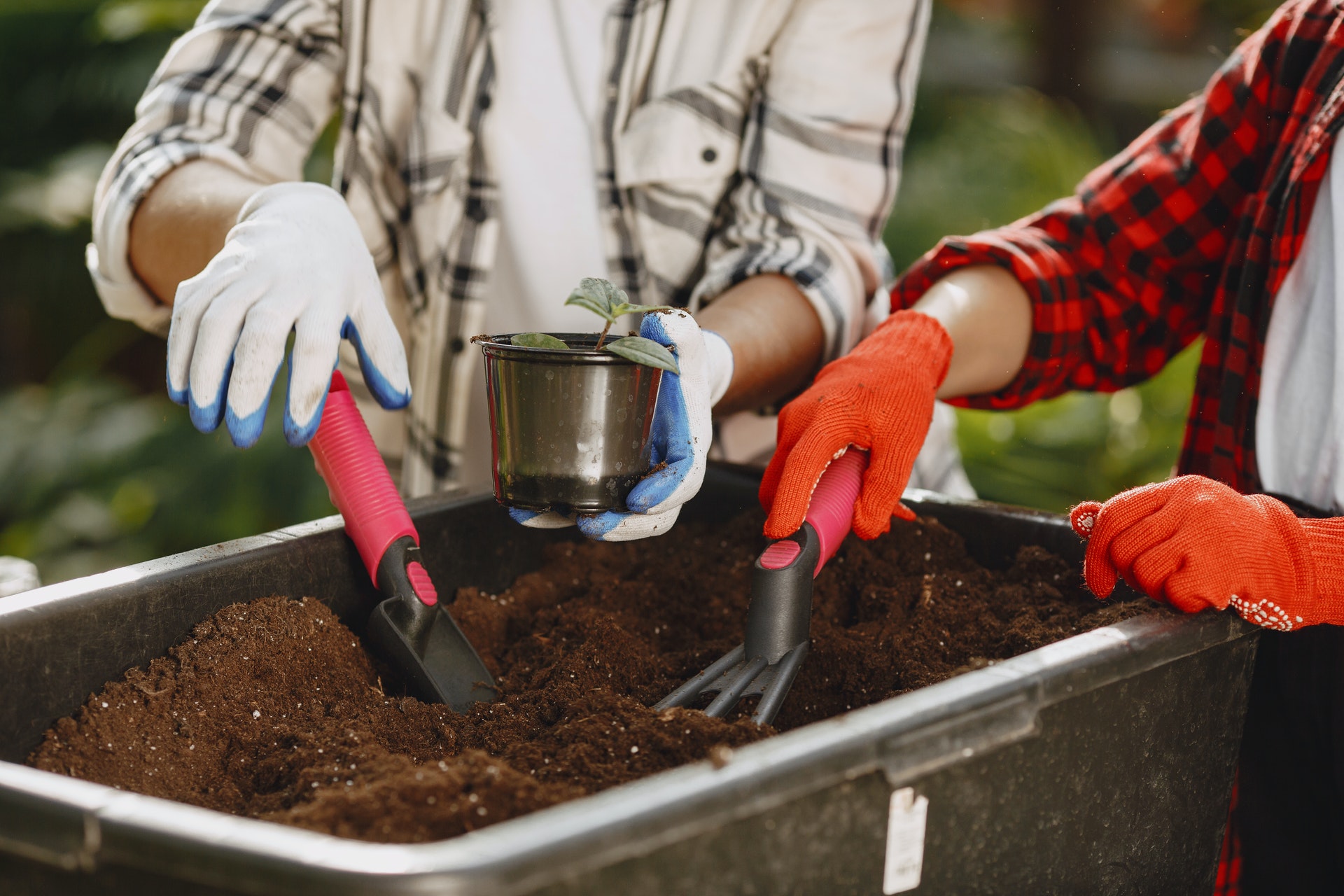 compost